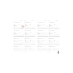 Best Maison Ghibli 2022 Schedule Leather Jiji - Kiki'S Delivery Service