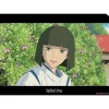 New Maison Ghibli A4 Size Clear Folder Haku - Sprited Away