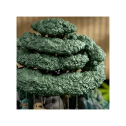 Clearance Maison Ghibli Bonsai Water Garden Kasajuku - My Neighbour Totoro