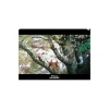 Outlet Maison Ghibli Clear File A4 Kodama'S Forest - Princess Mononoke